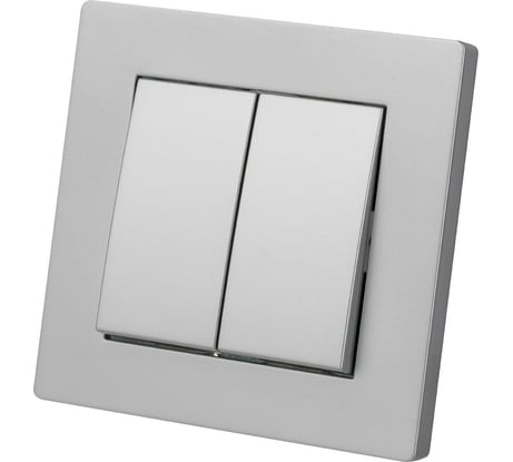 Выключатель 2-х клавишный TDM 10А серебр. металлик "сенеж" SQ1816-0211