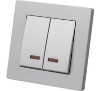 Выключатель 2-х клавишный TDM с подсветкой 10А серебр. металлик "сенеж" SQ1816-0214