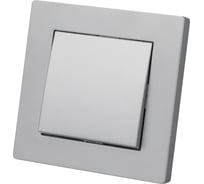 Выключатель 1 клавишный TDM 10А серебр. металлик "сенеж" SQ1816-0210