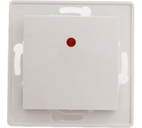 Выключатель 1-клавишный Aling-conel PRESTIGE с индикацией МЕХАНИЗМ 10AX 250V белый /арт. / 6025.0