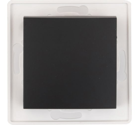 Выключатель 1-клавишный однополюсный Aling-conel PRESTIGE МЕХАНИЗМ 10AX 250V черный soft touch /арт. / 6005.E1 1