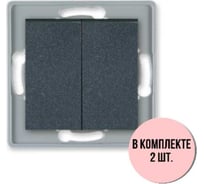 Выключатель 2-клавишный Aling-conel PRESTIGE /набор 2 шт./ МЕХАНИЗМ 10AX 250V графитовый /арт. / 6006.2 Н2