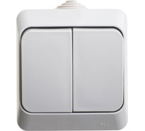 Выключатель Systeme Electric 2-клавишный ОП Этюд 10А IP44 серый SchE BA10-042C