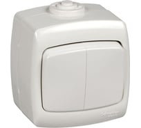 Выключатель Systeme Electric 2-клавишный ОП Рондо IP44 белый SchE VA56-225B-BI