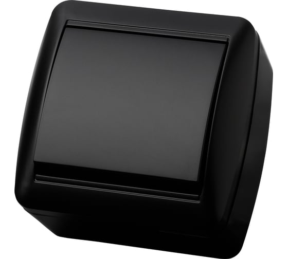 1-клавишный выключатель TDM ELECTRIC открытой установки, IP44, 10А, графит, "Селигер" SQ1818-0301