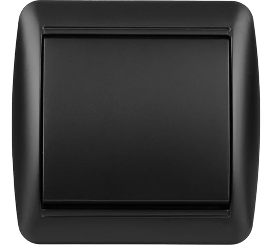 1-клавишный выключатель TDM ELECTRIC открытой установки, IP44, 10А, графит, "Селигер" SQ1818-0301