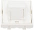 Лицевая панель PANDUIT CFPFS1SAW Mini-Com 29435 1