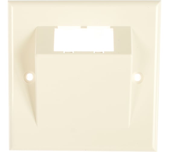 Лицевая панель PANDUIT CFPUKS2BAWY Наклонная 86х86мм для двух модулей MINI COM 29401 1