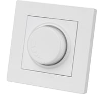 Светорегулятор TDM ELECTRIC 300 вт, белый, "сенеж" SQ1816-0028