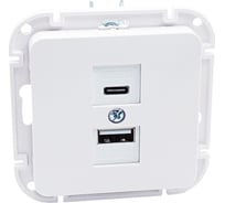 Механизм розетки Type-C+USB Bylectrica 3А серия АСТРУМ, белый РП5-6562