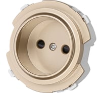 Розетка TDM ELECTRIC 2п 16а 250в с защитными шторками шампань, "байкал" SQ1819-0508