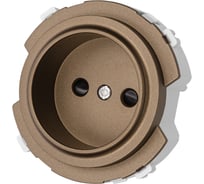 Розетка TDM ELECTRIC 2п 16а 250в с защитными шторками бронза, "байкал" SQ1819-0408