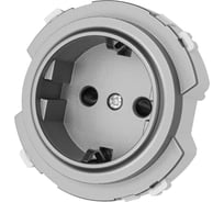 Розетка TDM ELECTRIC 2п+з 16а 250в с защитными шторками платина, "байкал" SQ1819-0307