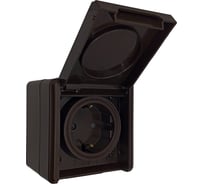 Розетка Bylectrica с земл., шторки, IP55 серия ПРАЛЕСКА АКВА РА16-0152 шоколад