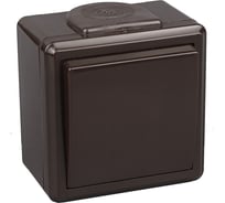 Выключатель 1-кл. Bylectrica IP55 серия ПРАЛЕСКА АКВА А110-2131 шоколад