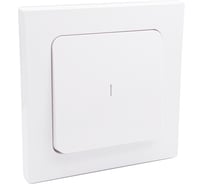 Выключатель 1-кл. Bylectrica СУ с подсветкой серия АСТРУМ, белый С110-2507