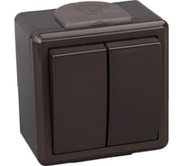 Выключатель 2-кл. IP55 серия ПРАЛЕСКА АКВА BYLECTRICA А510-2132 шоколад