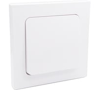 Выключатель 1-кл. Bylectrica СУ серия АСТРУМ, белый С110-2501
