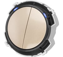 2-клавишный выключатель TDM ELECTRIC 16а 250в кнопочный Механизм шампань, "байкал" SQ1819-0524