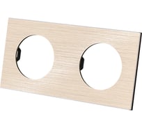 Двойная рамка TDM ELECTRIC шампань, алюминий, шлифованный, "байкал" SQ1819-0561