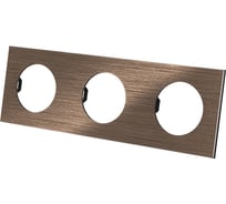 Тройная рамка TDM ELECTRIC бронза, алюминий, шлифованный, "байкал" SQ1819-0462