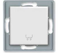 Механизм розетки Aling-conel PRESTIGE с заземлением с крышкой 16A 250V белая /арт. / 6033.0