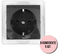 Механизм розетки Aling-conel PRESTIGE /набор 5 шт./ с заземлением 16A 250V графитовая /арт. / 6030.2 Н5