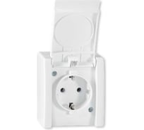 Розетка Aling-conel POWER с заземлением накладная керамическое основание IP44 16A 250V белая /арт. / 241.00