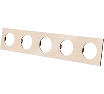 Рамка TDM ELECTRIC пятипостовая шампань, алюминий, шлифованный, "байкал" SQ1819-0564