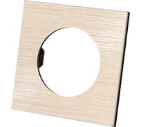 Рамка TDM ELECTRIC одиночная шампань, алюминий, шлифованный, "байкал" SQ1819-0560