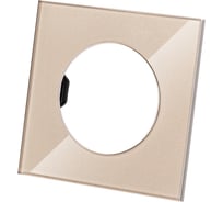 Одиночная рамка TDM ELECTRIC шампань, стекло, "байкал" SQ1819-0502