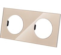 Двойная рамка TDM ELECTRIC постовая шампань, стекло, "байкал" SQ1819-0503