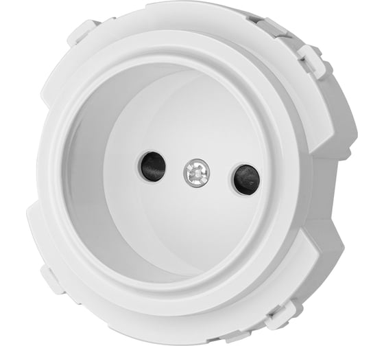 Розетка TDM ELECTRIC 2п 16а 250в с защитными шторками, белая, "байкал" SQ1819-0008
