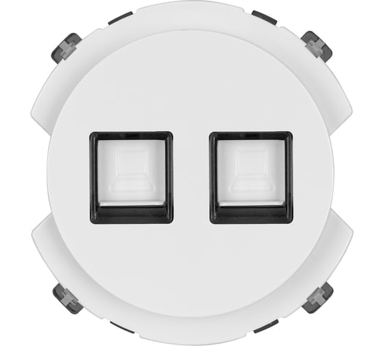 Двойная компьютерная розетка TDM ELECTRIC rj45, белая, "байкал" SQ1819-0016