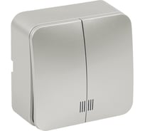 2-клавишный выключатель открытой установки STEKKER с индикатором, 250в, 10а, ip20, серия софия, серебро, msw10-21-03, 49298