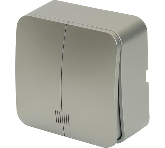 2-клавишный выключатель открытой установки STEKKER с индикатором, 250в, 10а, ip20, серия софия, серебро, msw10-21-03, 49298 1