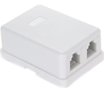 Внешняя двойная телефонная розетка Telecom 2xRJ-12 6P4C TC-SB-2-6P4C-C2-WH