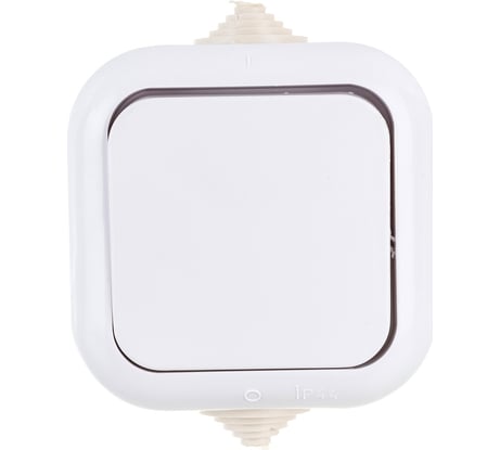 Выключатель SVET А1 10-001 брызгозащищенный, 50 SV0925-0171