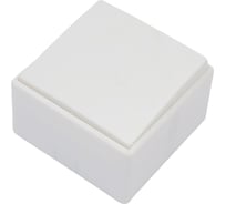 Выключатель SVET 1-кл.откр. уст. А16-114 120 SV0925-0119