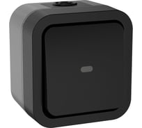 Переключатель одноклавишный IEK Tors с индикацией 10а ip55 ts102 графит TS-V10-1-10-55-K53