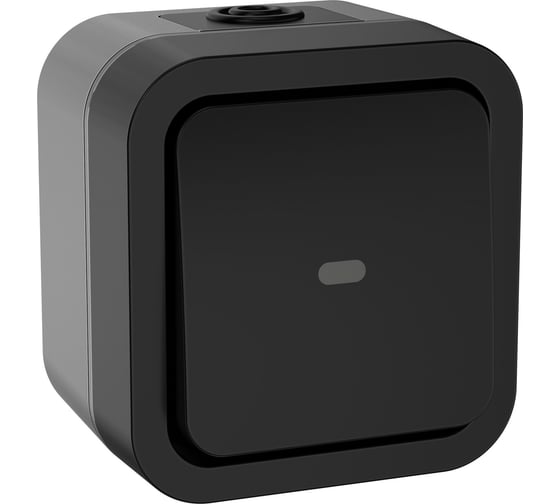 Переключатель одноклавишный IEK Tors с индикацией 10а ip55 ts102 графит TS-V10-1-10-55-K53 1