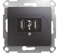 2х usb розетка Systeme Electric Glossa графит GSL001332
