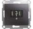 2х usb розетка Systeme Electric Glossa графит GSL001332 1