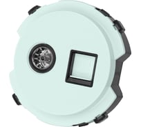Розетка компьютерная rj45 + tv розетка TDM ELECTRIC оконечная фисташковая, "байкал" SQ1819-0119