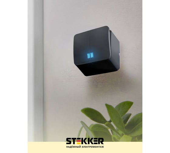 Выключатель открытой установки STEKKER 2-клавишный с индикатором, 250в, 10а, ip20, серия софия, черный, msw10-21-02, 49294