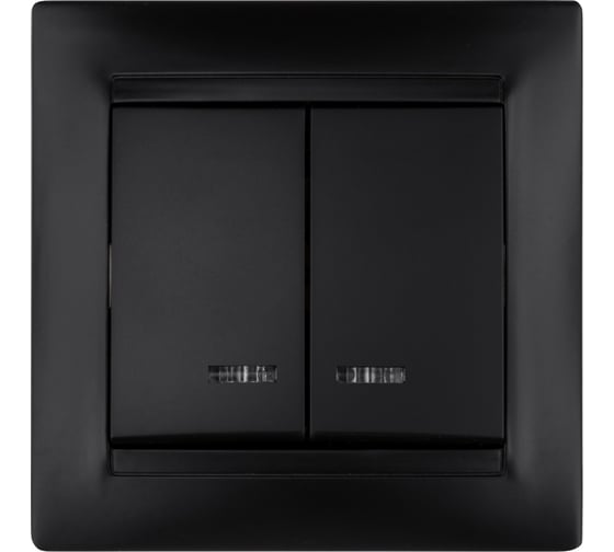 Выключатель 2 клавишный TDM ELECTRIC с подсветкой 10А графит "Лама" SQ1815-0605