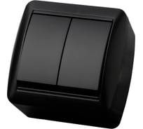 Выключатель 2 клавишный TDM ELECTRIC открытой установки IP44 10А графит "Селигер" SQ1818-0302