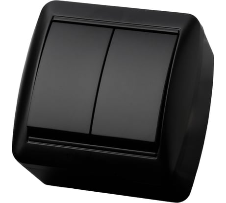 Выключатель 2 клавишный TDM ELECTRIC открытой установки IP44 10А графит "Селигер" SQ1818-0302