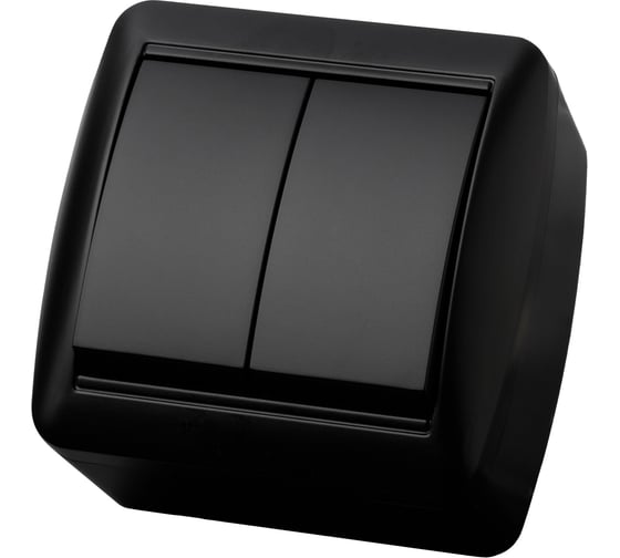 Выключатель 2 клавишный TDM открытой установки IP44 10А графит "Селигер" SQ1818-0302