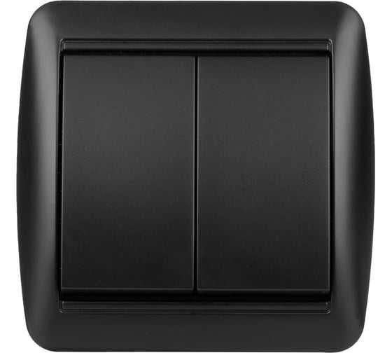 Выключатель 2 клавишный TDM открытой установки IP44 10А графит "Селигер" SQ1818-0302